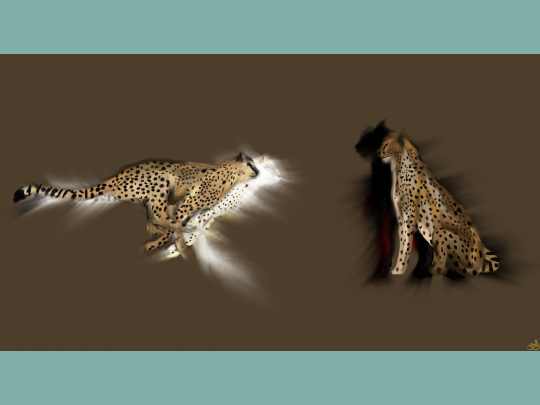 Speed file_000.png